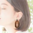 画像1: 「水牛」イヤリング オーバル oval（2） (1)