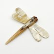 画像2: 「水牛」ブローチ とんぼ トンボ 勝ち虫（5）秋の風物詩 Dragonfly (2)
