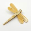 画像1: 「水牛」ブローチ とんぼ トンボ 勝ち虫（2）秋の風物詩 Dragonfly (1)