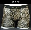 画像5: ボクサーパンツ メンズ【KINGNOVA】キングノバ　前開き　LL　4点までクリックポストOK！(10) (5)