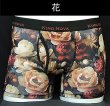 画像6: ボクサーパンツ メンズ【KINGNOVA】キングノバ　前開き　LL　4点までクリックポストOK！(10) (6)